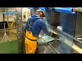 Amazing Big Catch on The Sea - Catching and Processing Hundreds Tons of Fish With Modern Big Boat