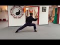 Wudang Kung Fu Exercise: Let your body teach the movement!