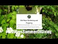 Old Ways Summer Of Giving @OldWaysGardeningandPrepping