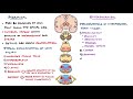 Extrapyramidal and Pyramidal Tracts - Descending Tracts of the Spinal Cord | (Includes Lesions)