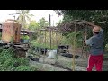 Membuat Lanjaran Kacang Panjang|| lanjut membersihkan kebun mini @SitiZulkarnainGarden