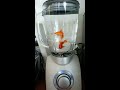Fish in a blender