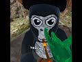 Gorillatag VR, error was chasing me. watch till end!