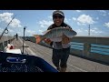 Landbased Keeper Mutton Snapper (Florida Keys Bridge Fishing)