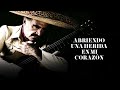 Vicente Fernández - Tú Solo Tú (Letra/Lyrics)