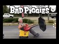Bad Pigges