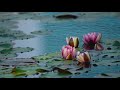 2 hours of relaxing piano music with 4K ambient zen nature footage in the background