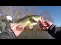 CRAZY BITE! Catching 29 Bass to start the spring