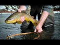 Blizzards and Browns - Winter fly fishing in Wyoming