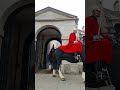 King's Horse gets SPOOKED and runs off down the street as Guard keeps control!
