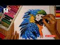 Macaw Drawing step by step | Realistic draw and colour  | #art #artist #video #youtuber