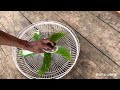 Cleaning a fan