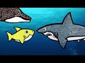 Who's Baby Shark's Mommy? | Learn about different Shark Species