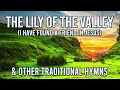 Lily of the Valley - I Have Found a Friend in Jesus - 1 Hour of Traditional Hymns