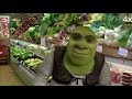 shreks day out but gets faster every time