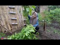 KEADAAN KEBUN KITA SETELAH BERHARI-HARI DITINGGAL KE BALI‼️ PANEN SAYUR DAN BERKEBUN BARENG AYAH