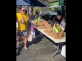 Bloomington Farmer’s Market part 2