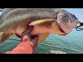 MULTI SPECIES FISHING ON THE PIER AT LAKE ERIE! (Lake Erie fishing part 2)