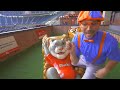 Blippi Learns To Skateboard with Shaun White! | Educational Videos for Kids