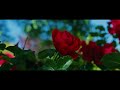 Sleeping Meadow | SONY FX30 | Sigma 18-50MM F2.8 | 4K Cinematic Film