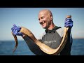 Shark vs. Snake: Battle of the Bites | Forrest Galante | Shark Week 2023