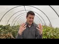How to Make $500 Dollars an Hour with Trees (Part 2) | Sell Plants for Profit