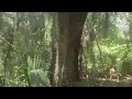 Florida Nature Trail