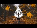 Best of alexrainbirdMusic // Vol. 1 (300k Subscribers Playlist)