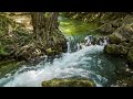 Beautiful Relaxing Music 🌸 Music To Relax the Nervous System and Stimulate the senses