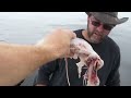 How to Fish for Halibut