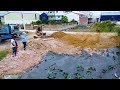 New Project!! Dozer D20 KUMATSU & Truck 5T pushing soil to remove pond To create a warehouse។