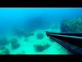 Spearfishing in Riviera Beach