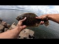 Unstoppable Flounder Hack! Discover How I Caught a Boatload with This Simple Trick! 🐟🔥