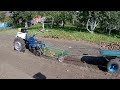 Harvesting potatoes. Motoblock train: it digs, assembles and transports itself.
