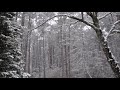 snowfall time lapse