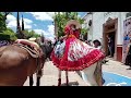 AMBIENTE EN EL JARDÍN DE JEREZ CON BANDA Y CABALLOS