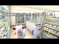 【猫ミーム】コンビニでとある商品がなかなかない話  #猫ミーム #猫マニ #vlog #コンビニ