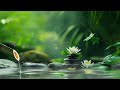 Piano Music for Stress Relief🌿Relaxing Music for Sleeping, Studying or Relaxation | Meditation