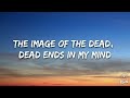 MGMT - Little Dark Age (Lyrics)