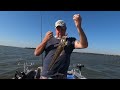 Big Flathead in the shallows