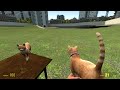 Gmod Workshop - M1A0 Cat Gun