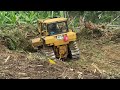 Caterpillar D6R Bulldozer Cuts Down All Land Trees