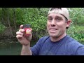 The Best Bluegill Bait that’s not Worms! You’ll be Shocked!