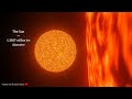 Sun vs UY Scuti Size Comparison | 3d Animation comparison 4k (60 fps)