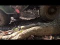 Mudding The JD 111 Mud Mower #mudmower #lawnmower @connerbaker3621 #mudding #johndeere #111 #mower