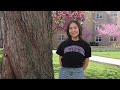 A Day in the Life at the University of Chicago vs. Northwestern University