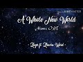 A Whole New World Lyric 2019 (Aladdin OST - Zayn ft. Zhavia Ward) (End Title)