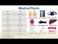 Medical Terminology MADE EASY: Root Words Part II [Nursing Flash Cards]