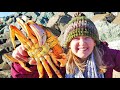 Dungeness Crab Snare Fishing on the Columbia River (Catch & Cook Crab Cakes)