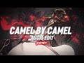 Camel by Camel [Audio Edit]